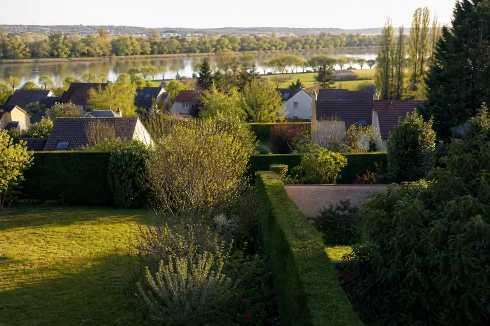 Vue aérienne basse d'un quartier pavillonnaire de la couronne du Mans : jardins verts contigus, haies taillées, la Maine en arrière-plan, lumière de fin d'après-midi.
