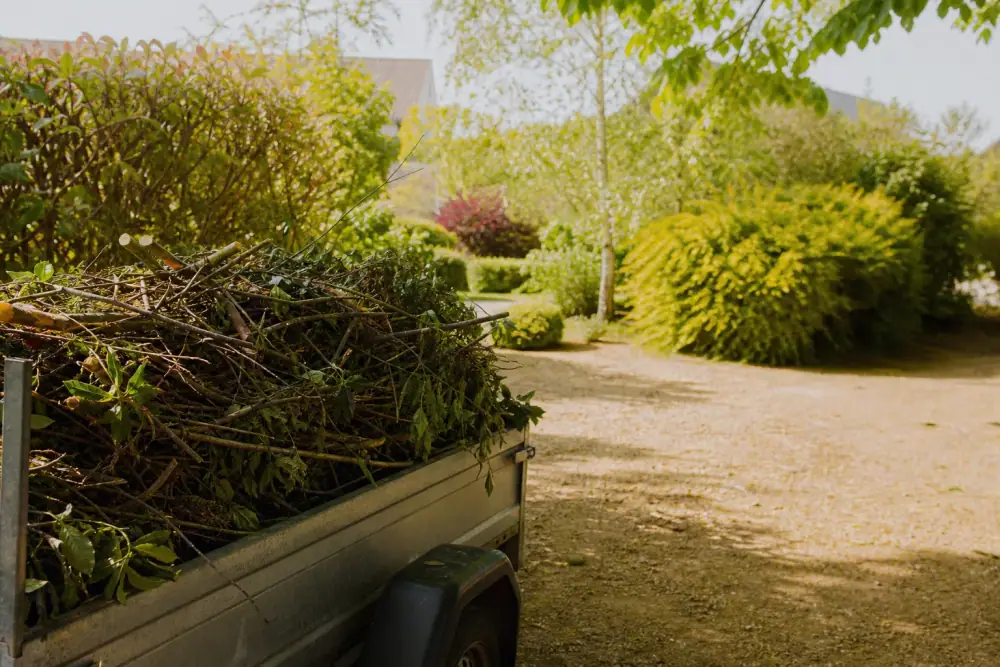 Remorque chargée de branchages et de rémanents prêts à l'évacuation, jardin propre et entièrement dégagé après le passage d'entretien.