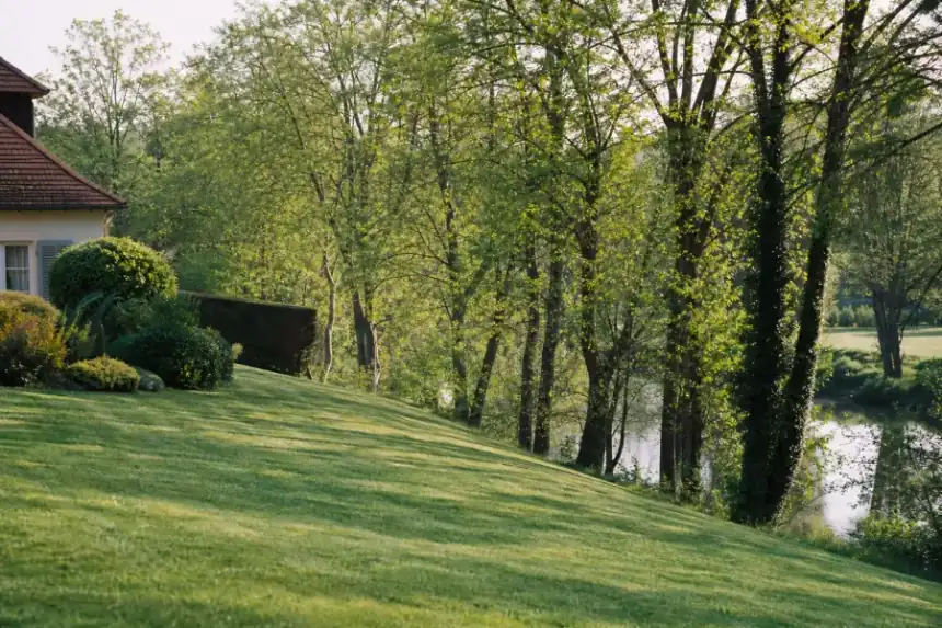 Jardin pavillonnaire soigné en bordure de la vallée de la Sarthe à Allonnes : pelouse dense fraîchement tondue descendant en pente douce vers une rangée d'arbres bordant la rivière, lumière matinale, cadrage large horizontal, ambiance verdoyante et humide.