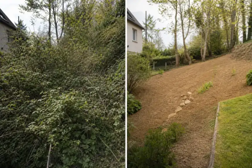 Avant et après sur un talus repris : à gauche broussaille dense, à droite terrain dégagé et net.