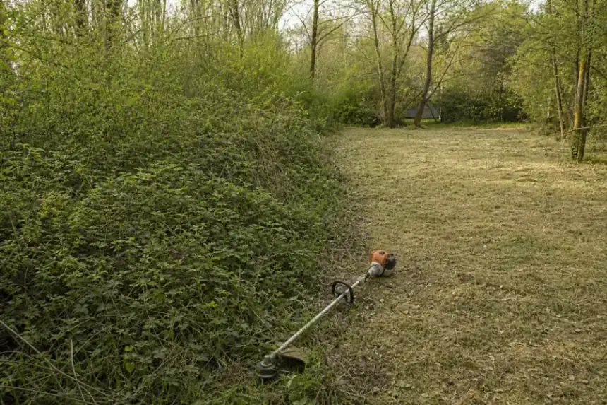 Fond de parcelle repris : à gauche ronces et friche, à droite terrain fauché et lisible prêt à être engazonné, débroussailleuse posée sur la ligne de partage.